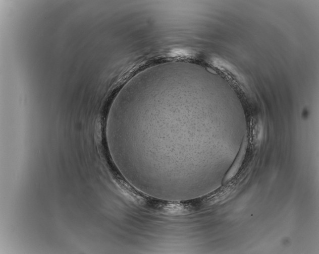 X0000095530562200712211328
