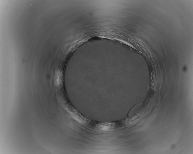 X0000095530563200712211328