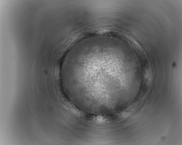X0000095530565200712211328