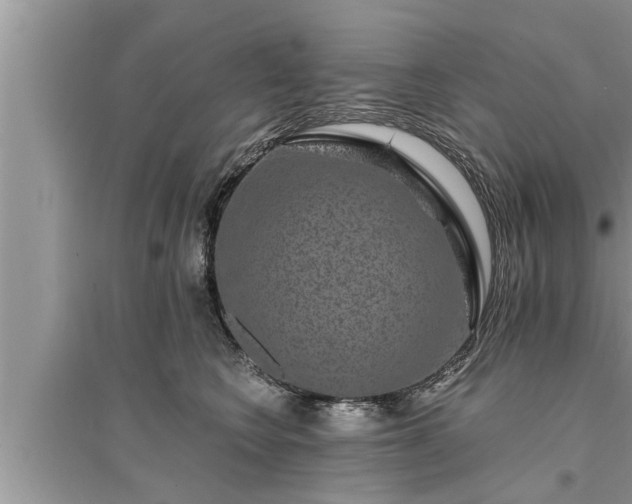 X0000095530566200712211328