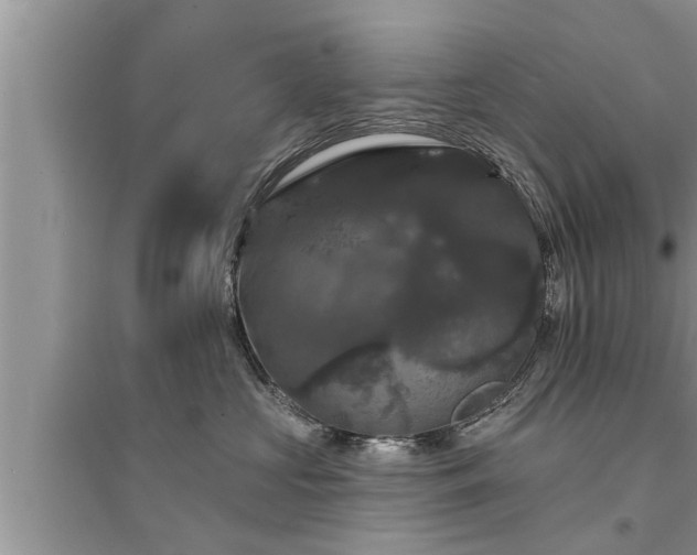X0000095530573200712211328