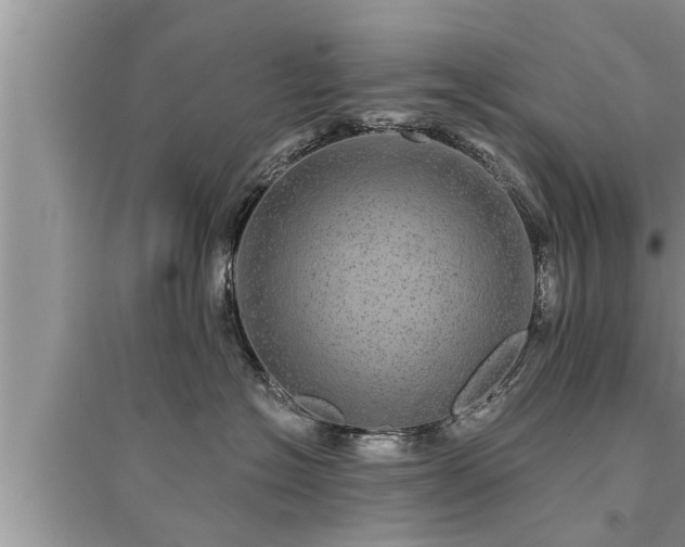 X0000095530574200712211328
