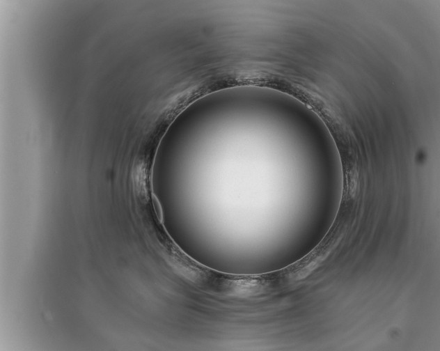 X0000095530575200712211328