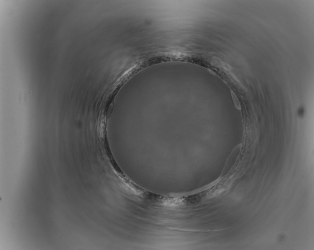 X0000095530576200712211328