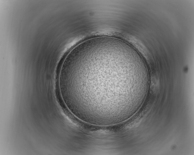 X0000095530578200712211327