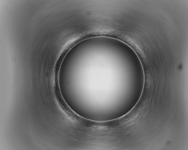 X0000095530582200712211327