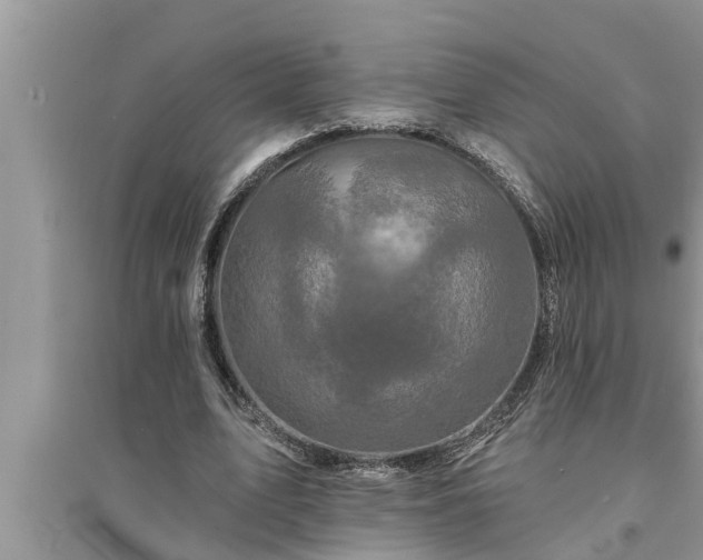 X0000095530583200712211327