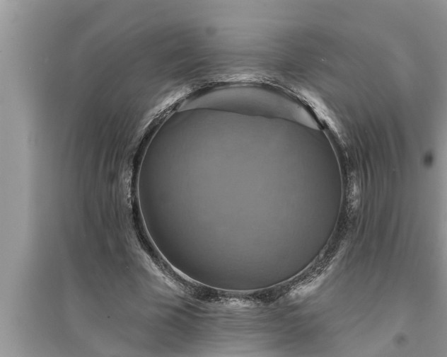 X0000095530585200712211327