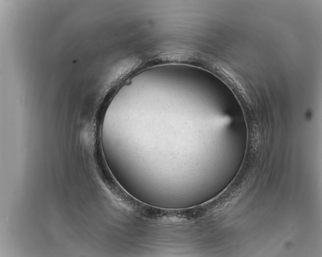X0000095530586200712211327