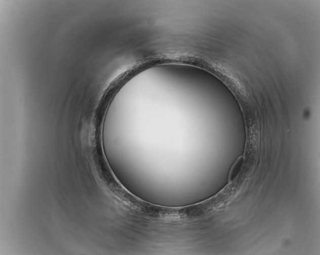 X0000095530587200712211327
