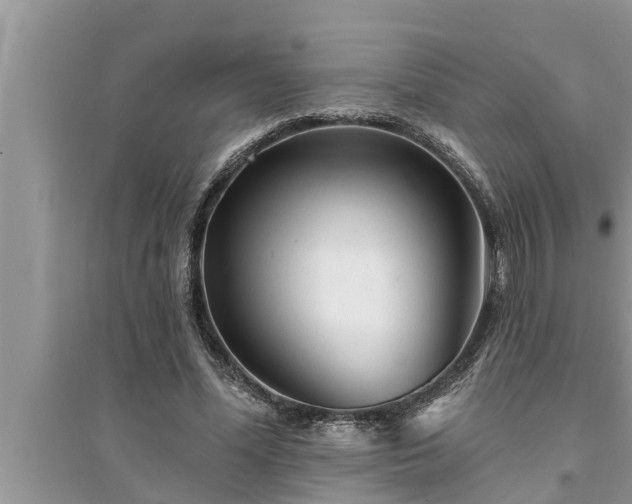 X0000095530588200712211327