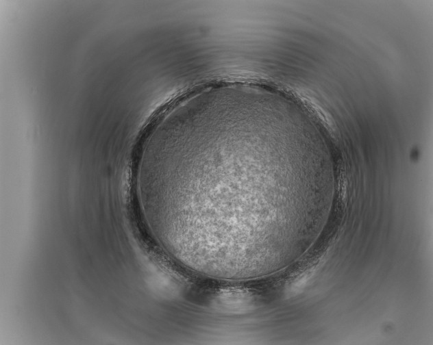 X0000095530591200712211327