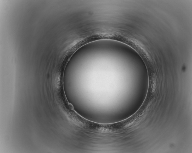 X0000095530596200712211327