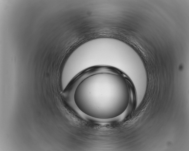 X0000095530597200712211327