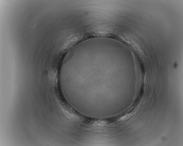 X0000095530599200712211327