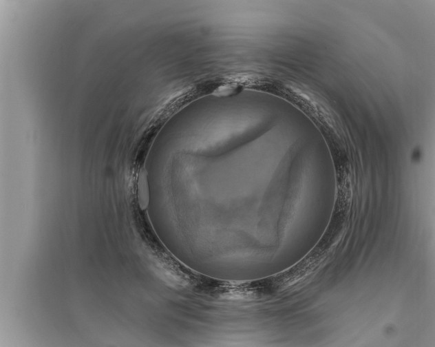 X0000095530601200712211327