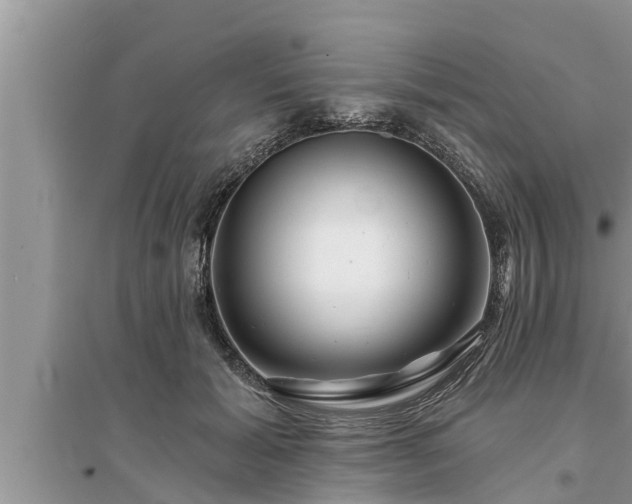 X0000095530605200712211327