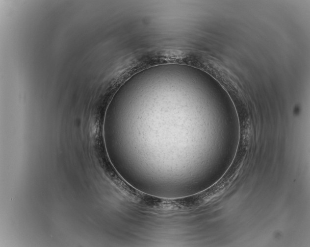 X0000095530608200712211327