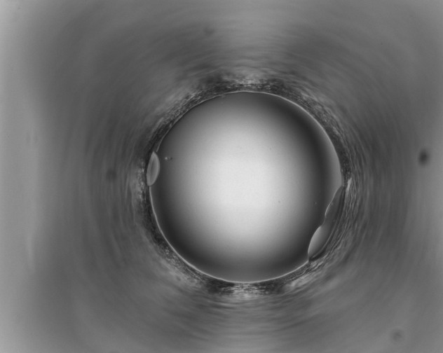 X0000095530612200712211327