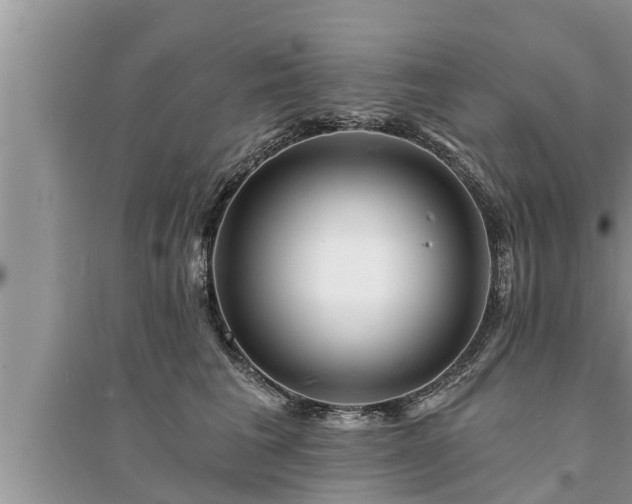 X0000095530613200712211327