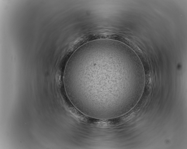 X0000095530615200712211327