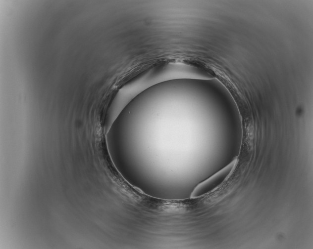 X0000095530617200712211327