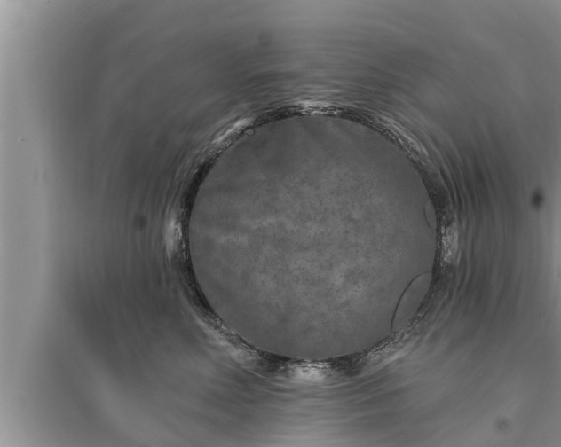 X0000095530618200712211326
