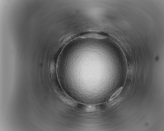 X0000095530623200712211326