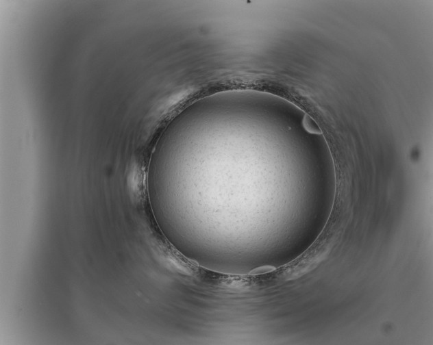 X0000095530624200712211326