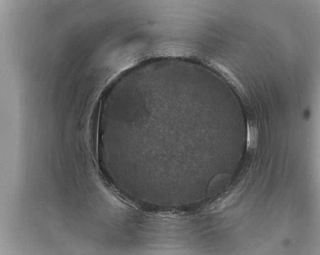 X0000095530627200712211326