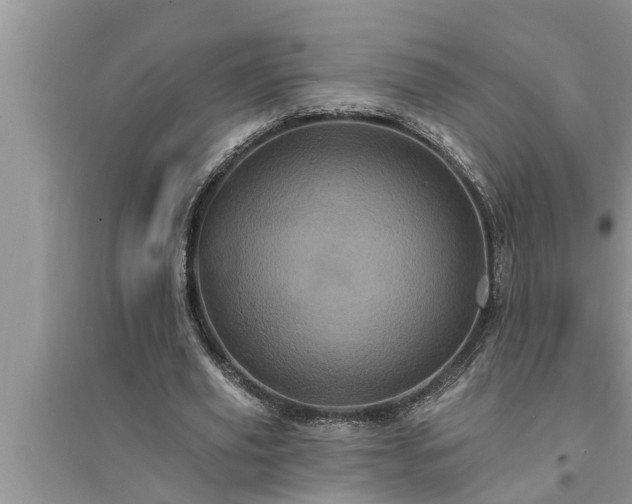 X0000095530629200712211326