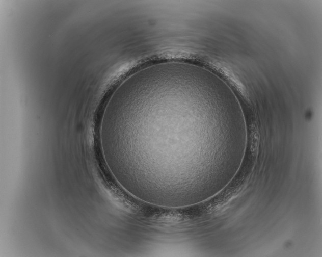 X0000095530631200712211326