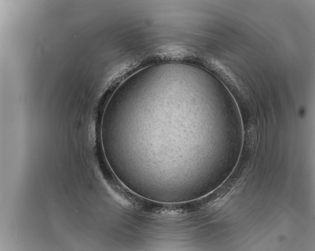 X0000095530638200712211326
