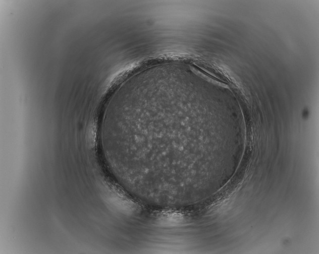 X0000095530640200712211326