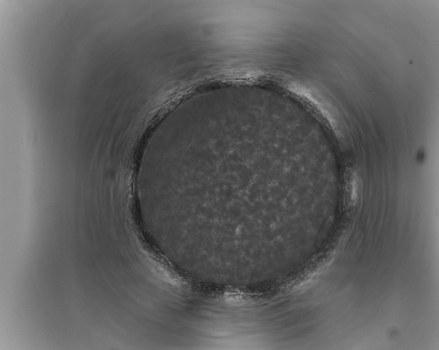 X0000095530641200712211326