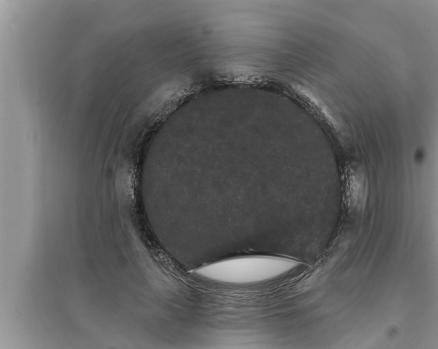 X0000095530643200712211326