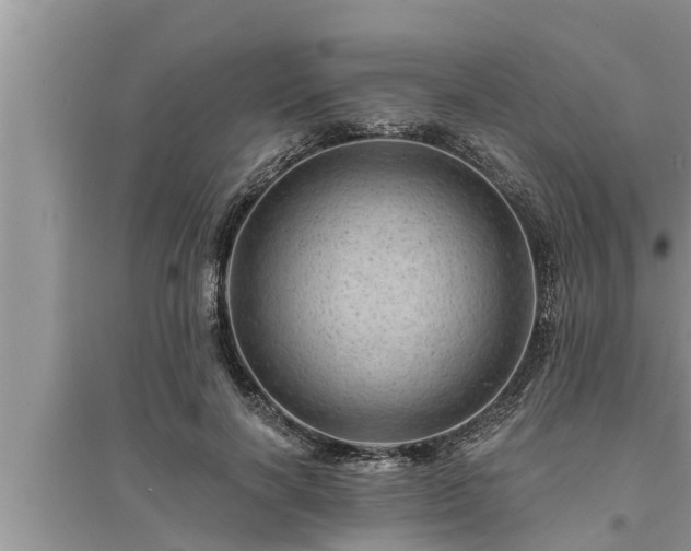 X0000095530646200712211326