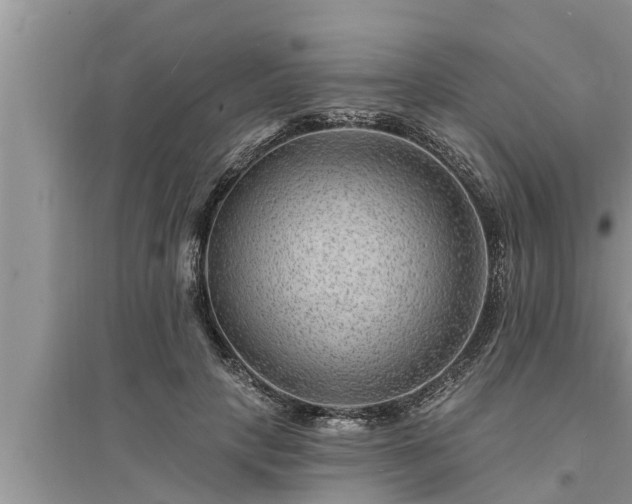 X0000095530649200712211326