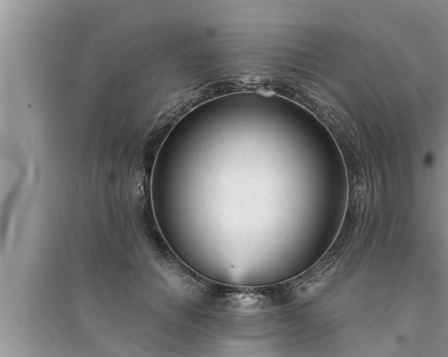 X0000095530654200712211326