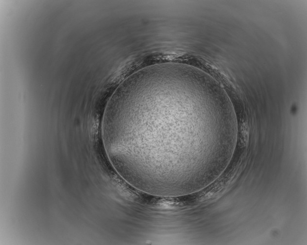 X0000095530657200712211326