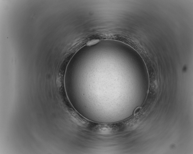 X0000095530658200712211326