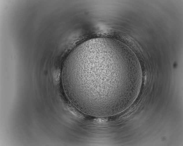 X0000095530660200712211326