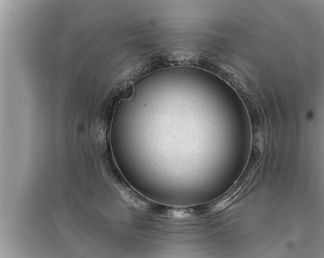 X0000095530662200712211326