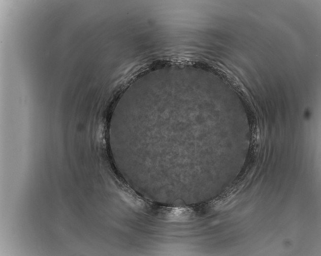 X0000095530663200712211326