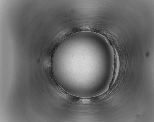 X0000095530665200712211326