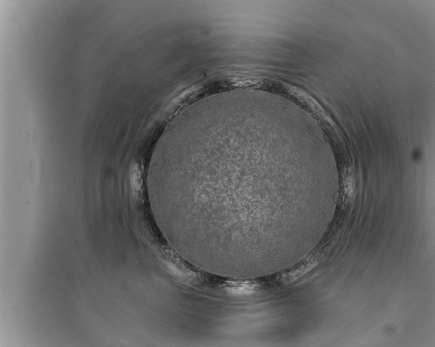 X0000095530667200712211326