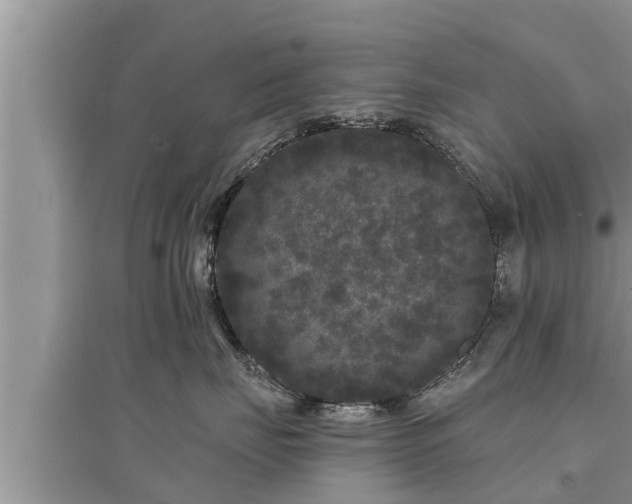 X0000095530671200712211326