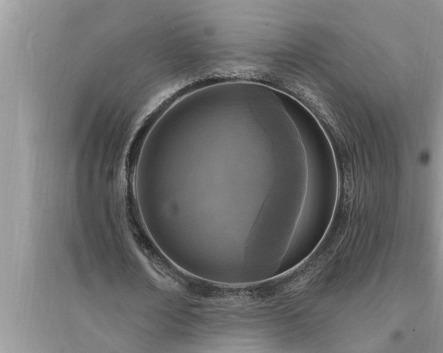 X0000095530674200712211326