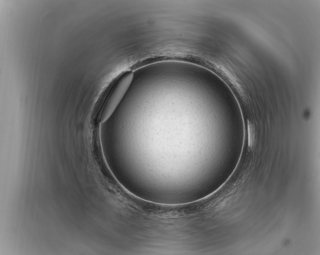 X0000095530675200712211326
