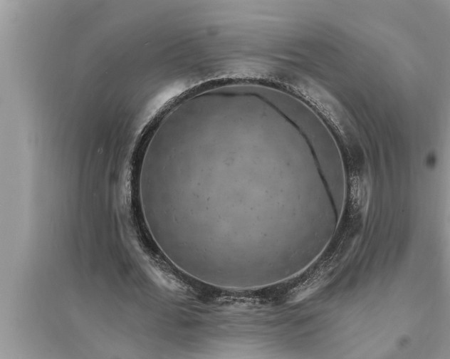 X0000095530676200712211326